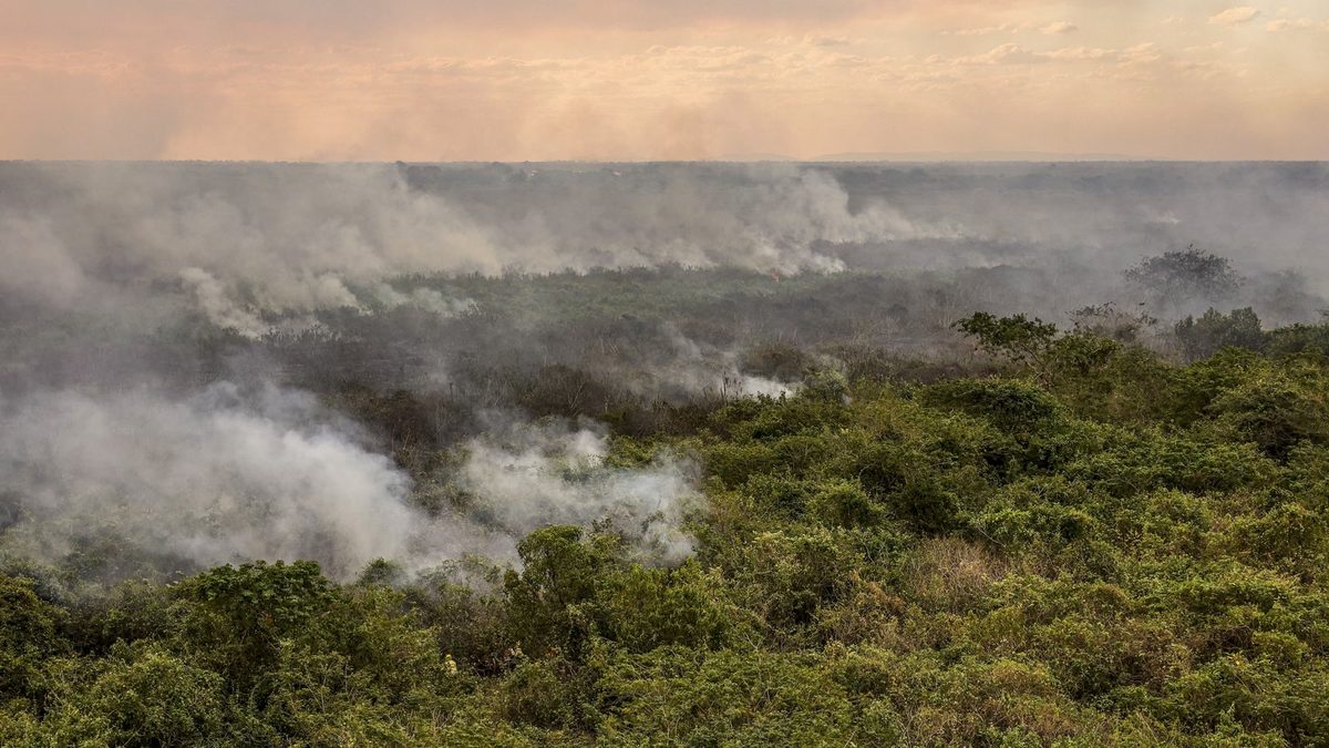 Fumaça de queimadas: como proteger a saúde, quem está em risco e quando buscar atendimento