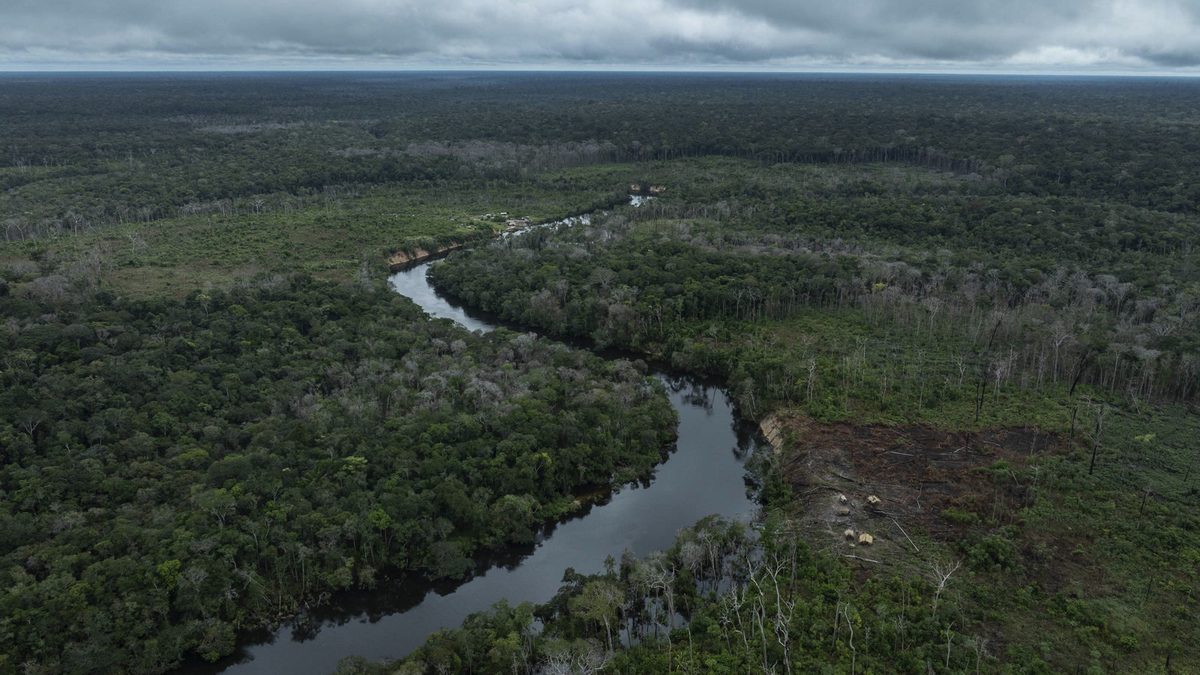 Aporte holandês ao fundo TFFF aparece com dois valores; a diferença é de 100 vezes