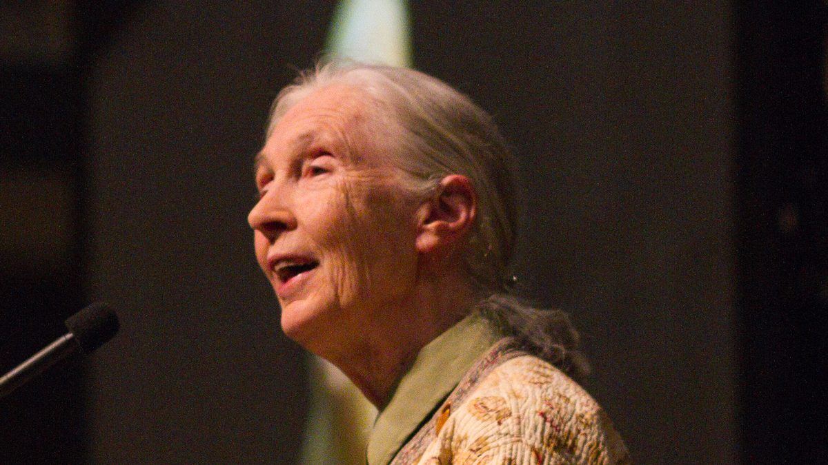 Jane Goodall, de cabelo branco preso e casaco estampado, discursa ao microfone na Mizzou Arena, nos Estados Unidos, em 2014