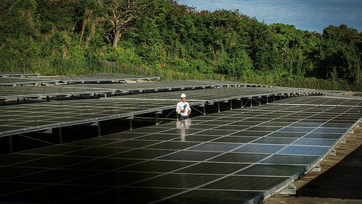 Neoenergia: lucro sobe 27% no trimestre, mas cai em nove meses; entenda a diferença