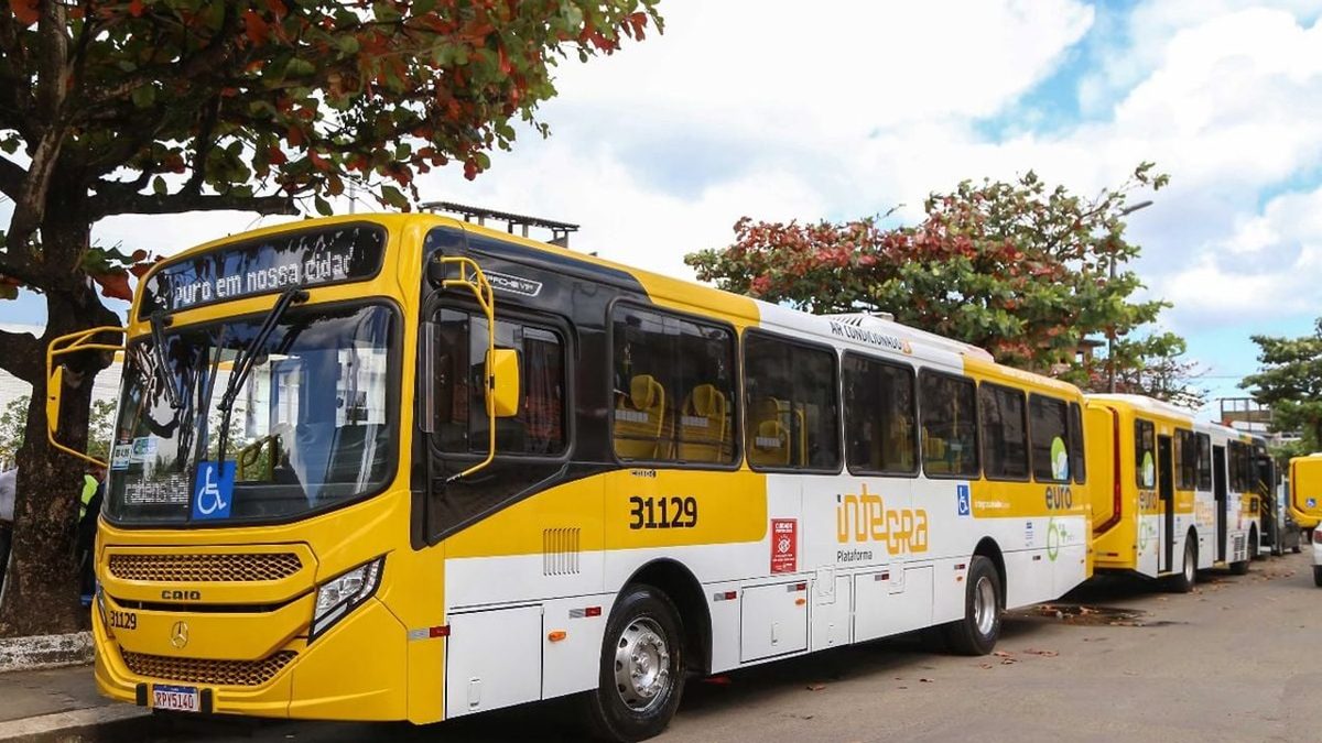 Ônibus aptos a operar ficaram parados em garagem de Salvador no 2º turno e empresa foi autuada